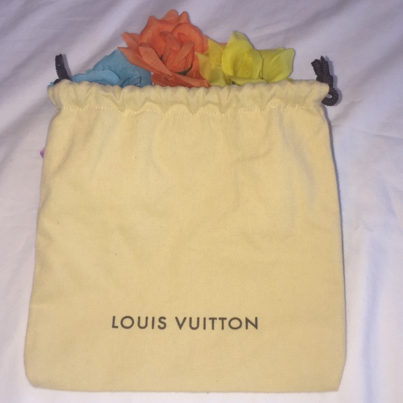 Louis Vuitton Other - Louis Vuitton Dust Bag